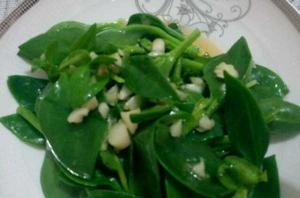 涼拌田七菜 涼拌田七菜