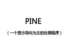 pine[處理程式]