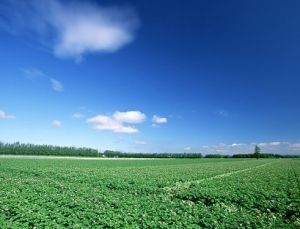 特而勒吉特 特而勒吉特