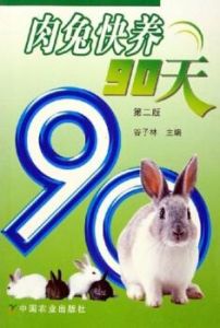 肉兔快養90天 肉兔快養90天