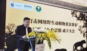 打擊網路野生物非法貿易企業聯盟 打擊網路野生物非法貿易企業聯盟