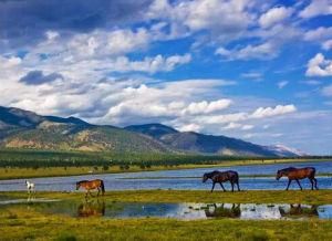 貝爾加湖 貝爾加湖