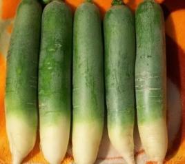 樂都綠蘿蔔 樂都綠蘿蔔