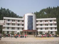 周河鎮[陝西榆林市靖邊縣下轄鎮]