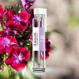 丁香精油[植物精油]