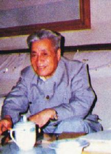 王鳴岐[中國植物保護專家]