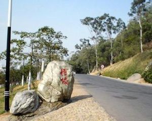 廈門怪坡 廈門怪坡