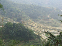 鳳山鎮[廣西省博白縣]