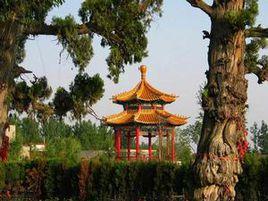 增福廟村 增福廟村