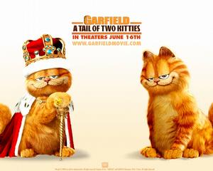 加菲貓2 加菲貓2