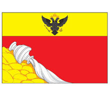 沃羅涅日市市旗