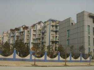 龍錦花園 龍錦花園