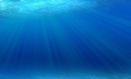海水pH值 海水pH值