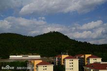 西南科技大學城市學院