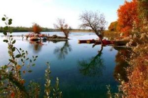 澤普亞斯墩國營林場