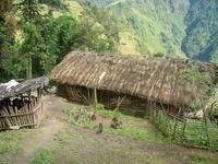 茅草房