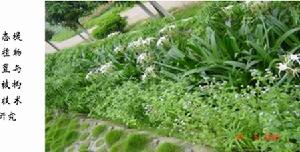 中國科學院南京地理與湖泊研究所