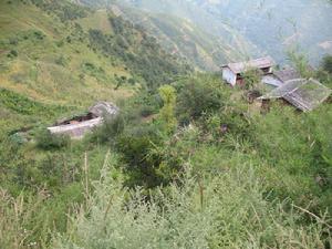 星紅自然村 星紅自然村