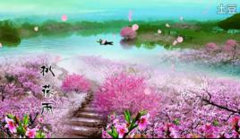 桃花雨--品卉詩詞選