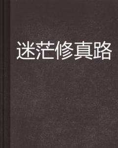 迷茫修真路 迷茫修真路