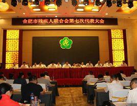 合肥市殘疾人聯合會 合肥市殘疾人聯合會