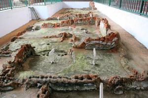 荊村遺址 荊村遺址