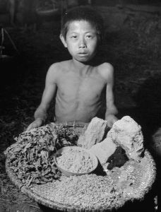 1946年饑荒中，吃觀音土的男孩