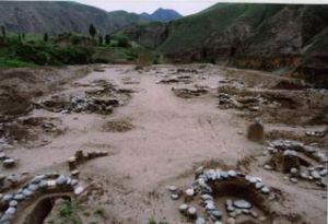 新疆于田縣流水青銅時代墓地 新疆于田縣流水青銅時代墓地