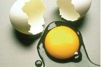 雞蛋