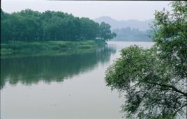 大清流河 大清流河