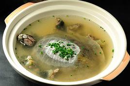 清燉海龜 清燉海龜