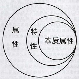 本質[漢語詞語]