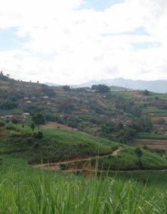 忙況自然村 忙況自然村