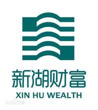 新湖財富投資管理有限公司