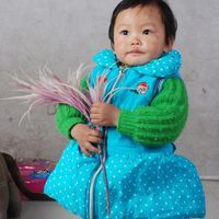 秦艽鱉甲散 秦艽鱉甲散