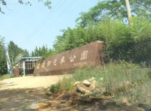 玫瑰湖汽車公園