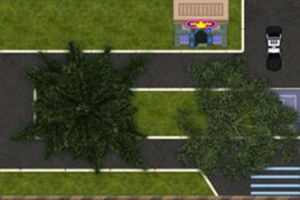 幫警察叔叔停車