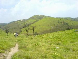 十萬古田 十萬古田