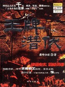 王牌潛伏 王牌潛伏