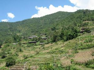 自古朵村 自古朵村