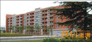 華二[華東師範大學第二附屬中學]