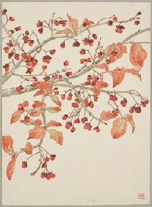 八樹(花椒樹) 八樹(花椒樹)