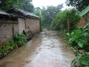 先鋒自然村 先鋒自然村