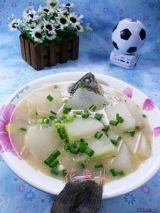 河鯽魚冬瓜湯 河鯽魚冬瓜湯