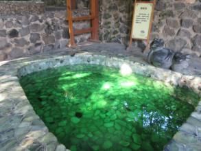 綠茶溫泉