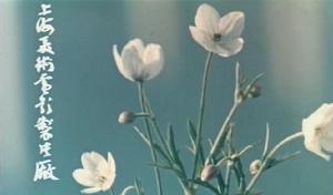 上海美術電影製片廠&middot;作品