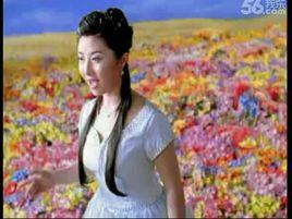 許下一個心愿 許下一個心愿