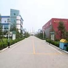 晶龍實業集團有限公司 晶龍實業集團有限公司