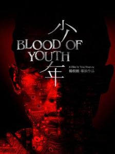 少年[2016年楊樹鵬執導電影]