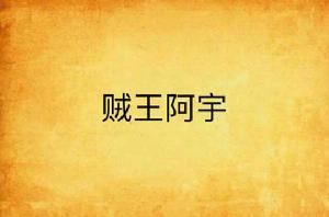 賊王阿宇 賊王阿宇